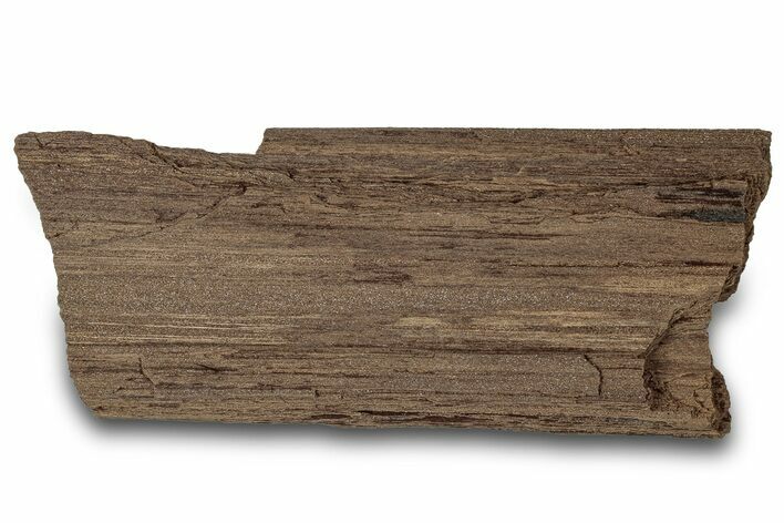 Permineralized Wood Covered In Sparkling Quartz - Germany #302045